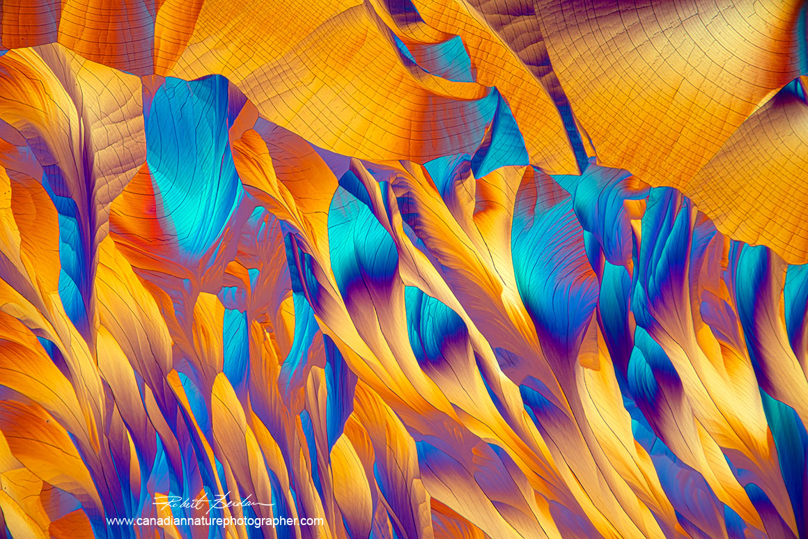 Crystals of Alanine and Glutamine in Ethanol and water, 40X Polarized light microscopy with a full wave plate. Robert Berdan ©