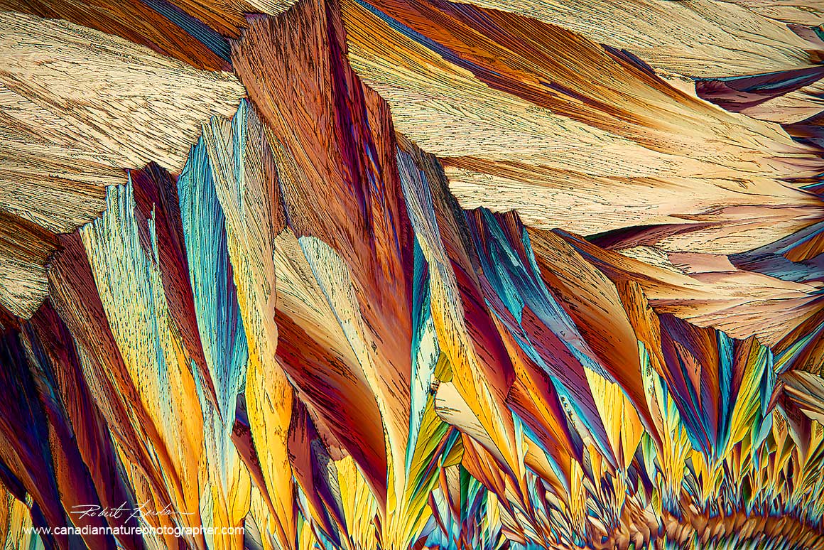 Crystals of Alanine and Glutamine in ethanol and water by Robert Berdan ©