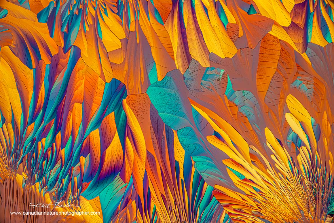 Crystals of Alanine and Glutamine in Ethanol and water, 40X Polarized light microscopy with a full wave plate. Robert Berdan ©