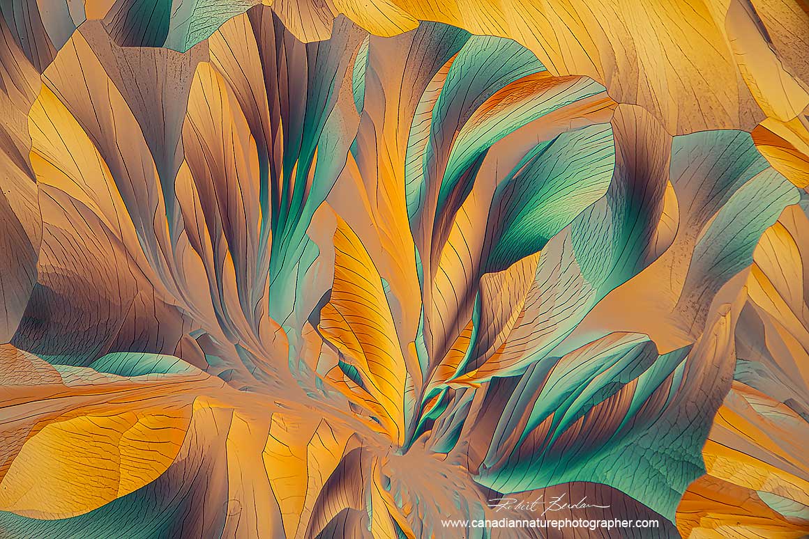 Alanine and Glutamine 40X as viewed in a polarizing microscope with a wave plate by Robert Berdan ©