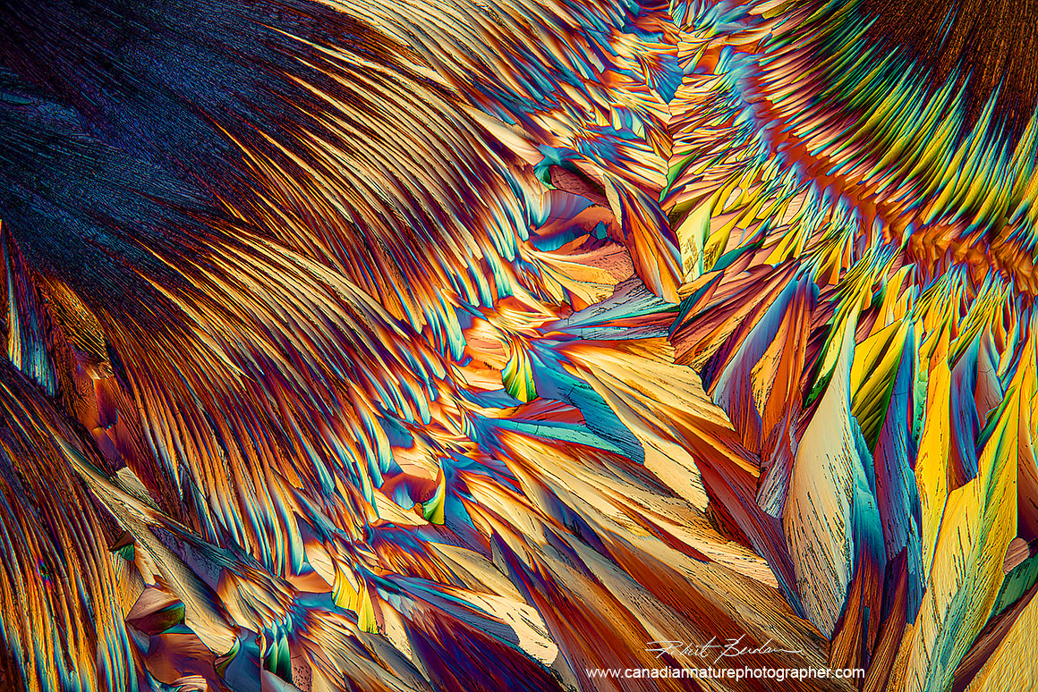 Crystals of Alanine and Glutamine in Ethanol and water, 40X Polarized light microscopy with a full wave plate. Robert Berdan ©