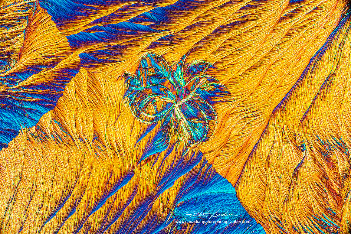 Broadacid by polarized light microscopy and wave plate Robert Berdan ©