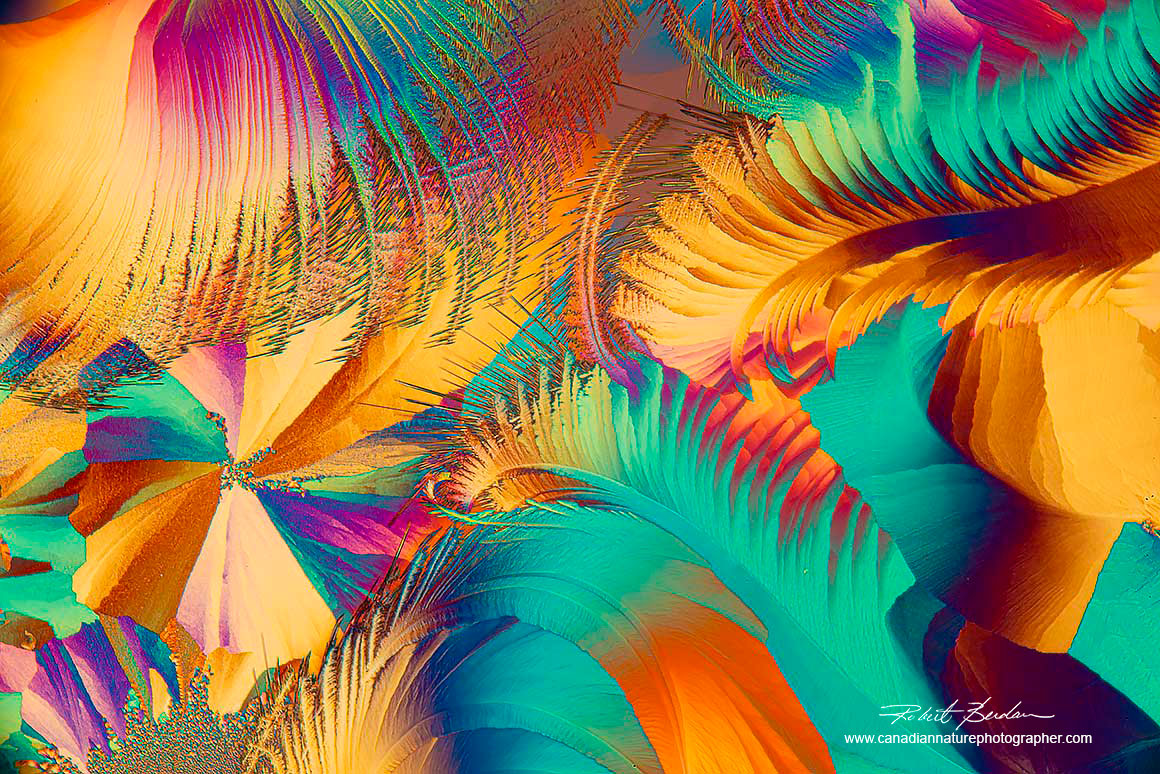 Broadacid crystals by polarized light microscopy 100X  Robert Berdan ©