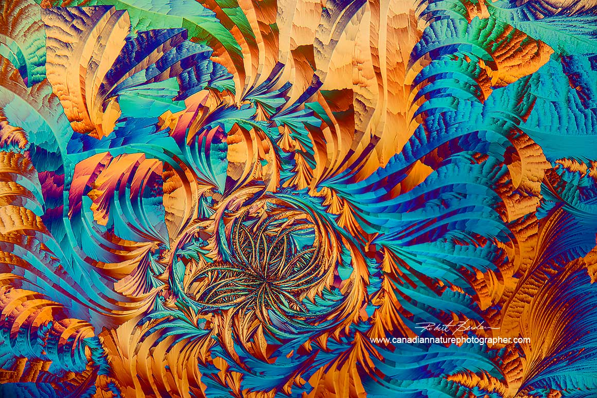 Lactic acid and Salicyclic acid polarized light microscopy 100X Robert Berdan ©