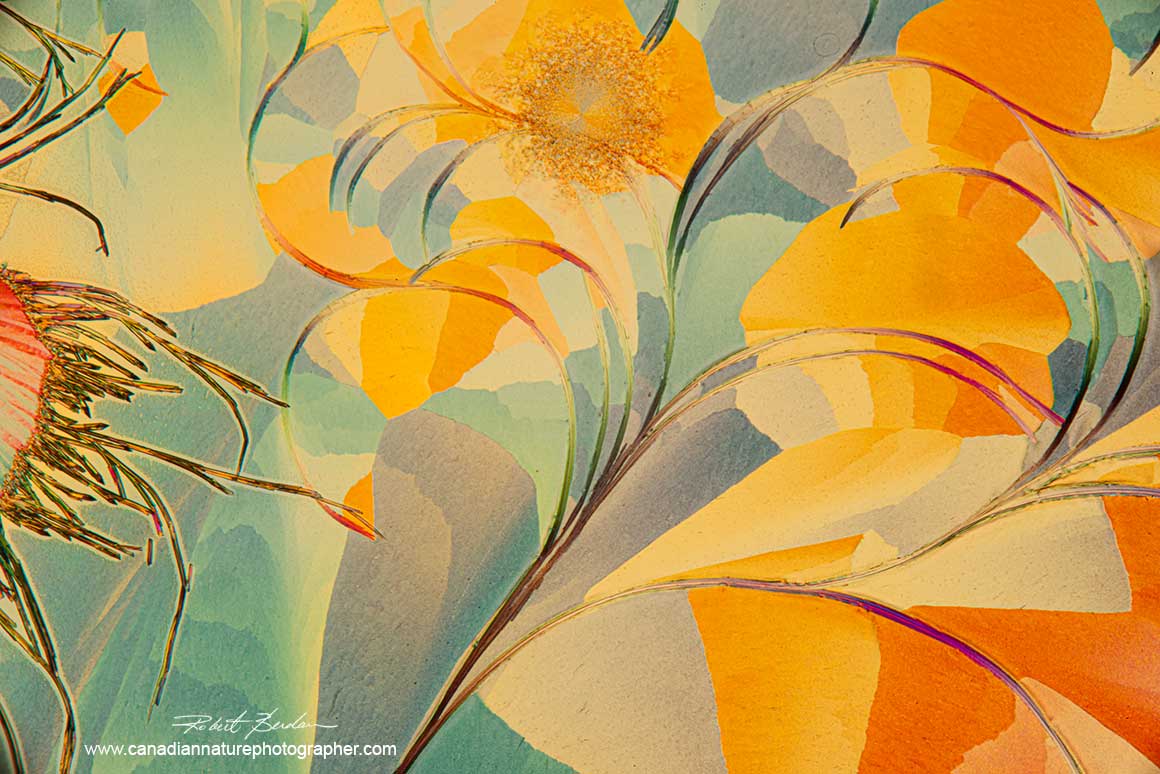 Lactic acid and Salicyclic acid wpolarized light microscopy with wave plate 100X abstract art Robert Berdan ©