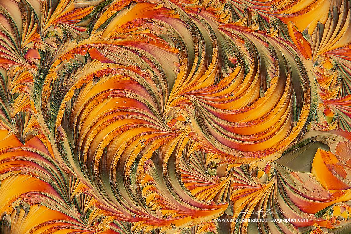Lactic acid and Salicyclic acid polarized light microscopy with wave plate 100X  Robert Berdan ©