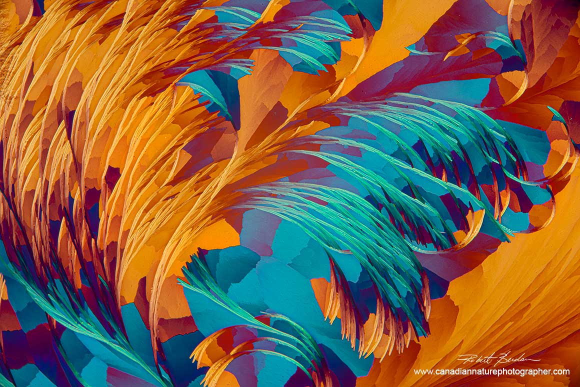 Lactic acid and Salicyclic ccid polarized light microscopy with wave plate 100X Robert Berdan ©