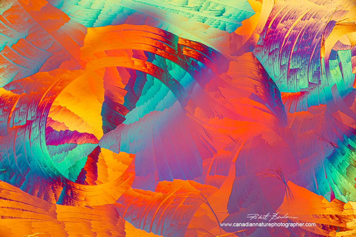 Lactic acid and Salicyclic acid polarized light microscopy with wave plate dried in the fridge 100X Robert Berdan ©
