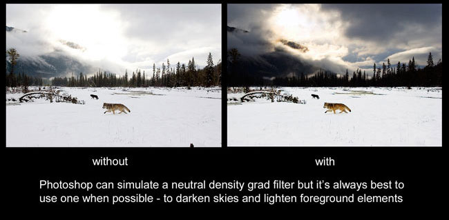 with and without a grad filter by Robert Berdan 