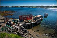 Twillingate Newfoundland by Robert Berdan