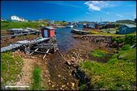 Titling Fogo Island Newfoundland by Robert Berdan