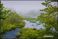 River along East coast Nova Scotia by Robert Berdan