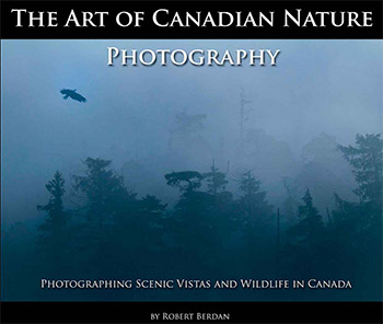 The Art of Canadian Nature Photography by Robert Berdan ©
