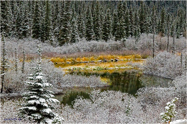 First snow on the Upper Pine River by Egan Wuth ©