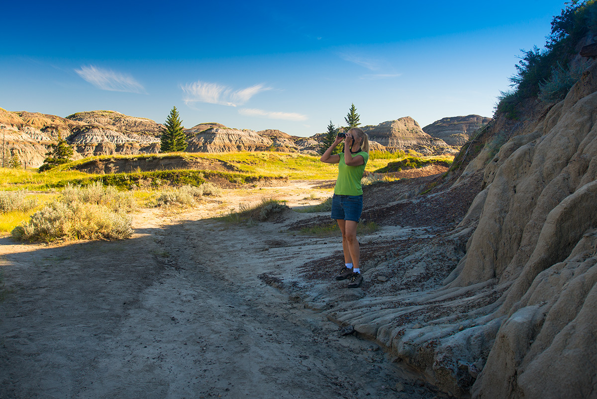 Horseshoe Canyon part of Alberta's Badlands Robert Berdan The