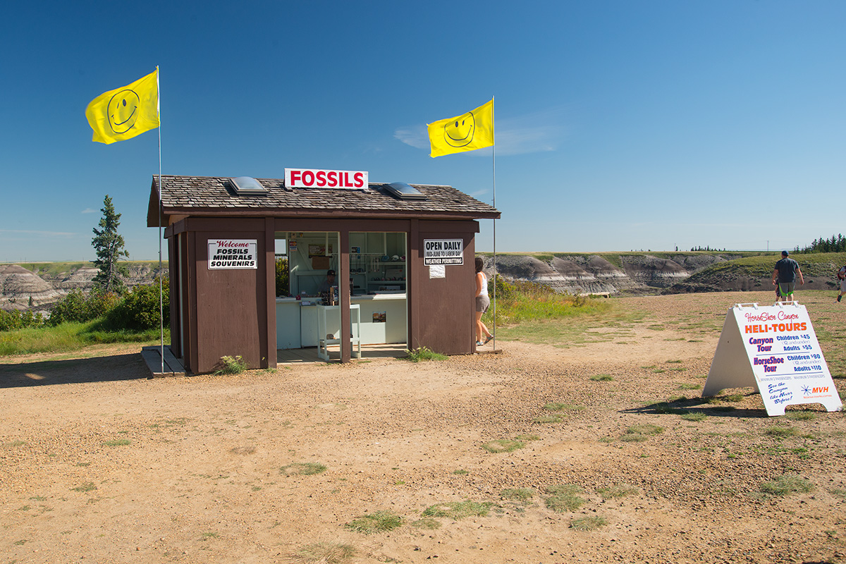 Fossil shop horseshoe canyon Alberta by Robert Berdan ©