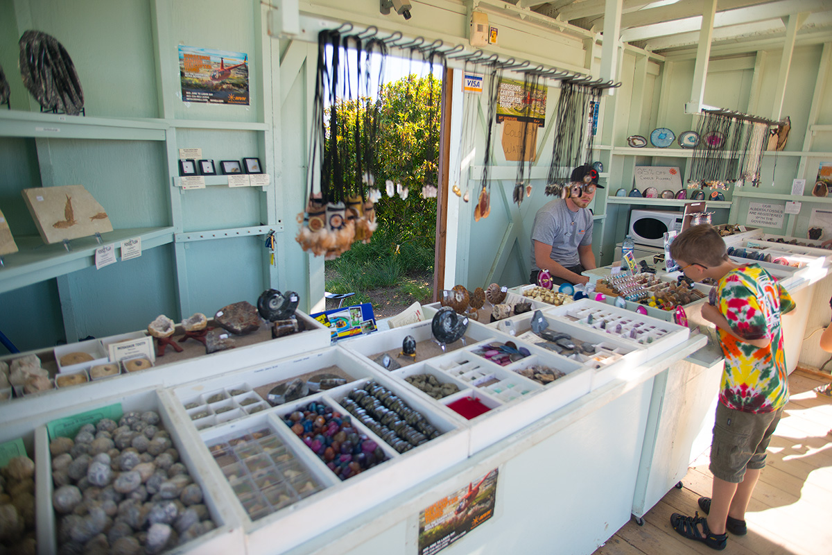 Fossil shop Horseshoe canyon by Robert Berdan ©