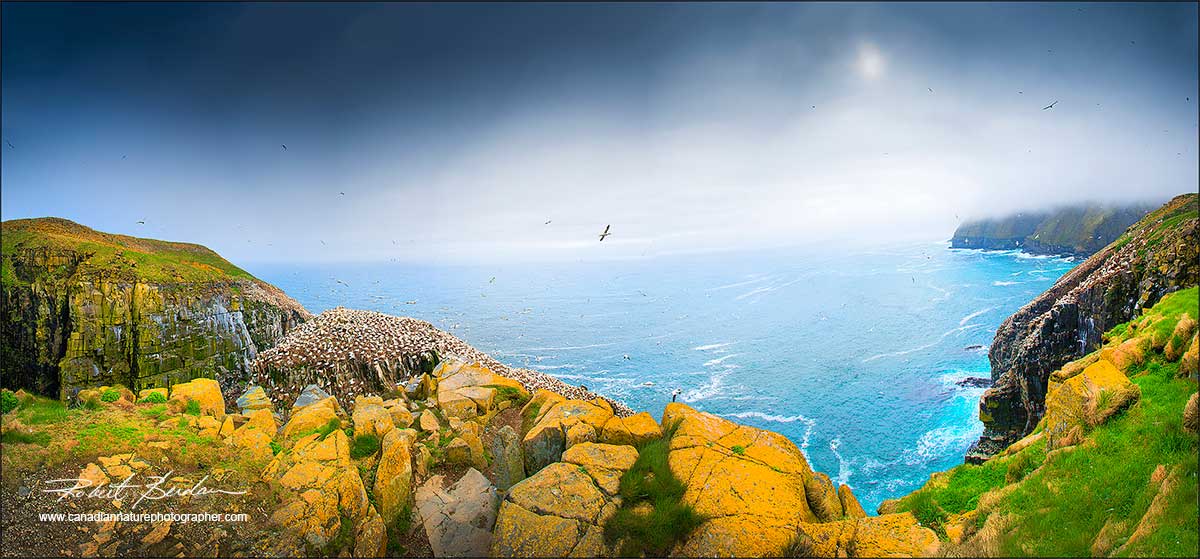 St. Mary's panorama, Newfoundland by Robert Berdan