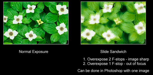 Photo showing slide sandwhich of two exposures by Robert Berdan 