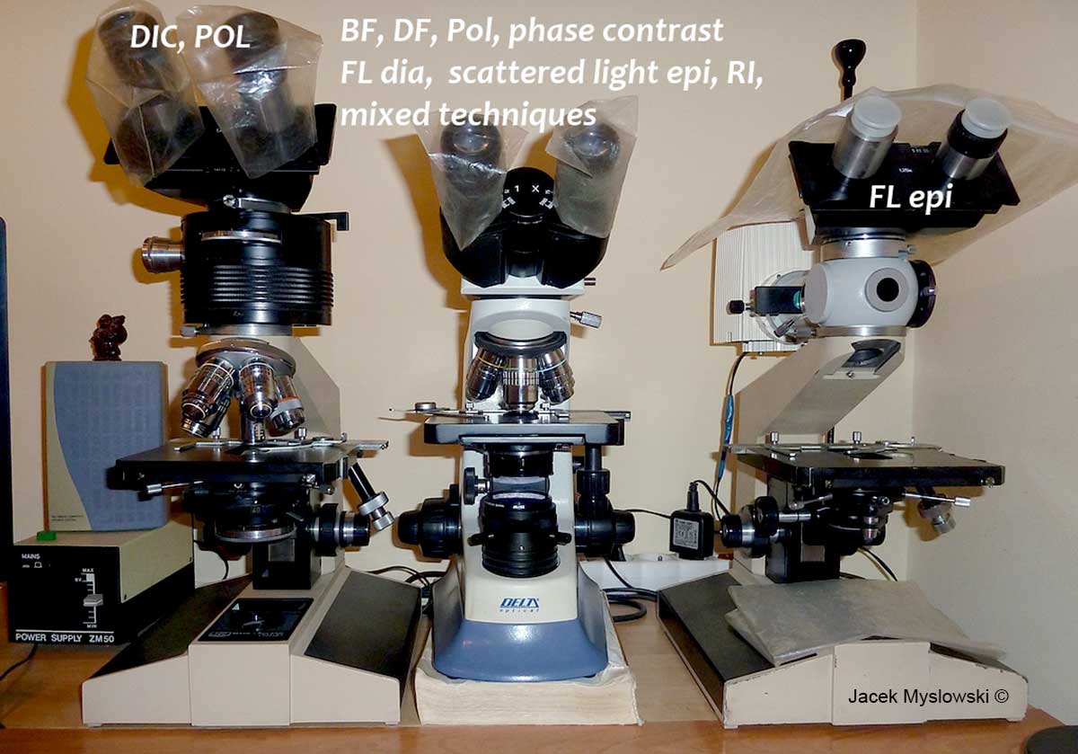 microscopes owned by Jacek Myslowski ©