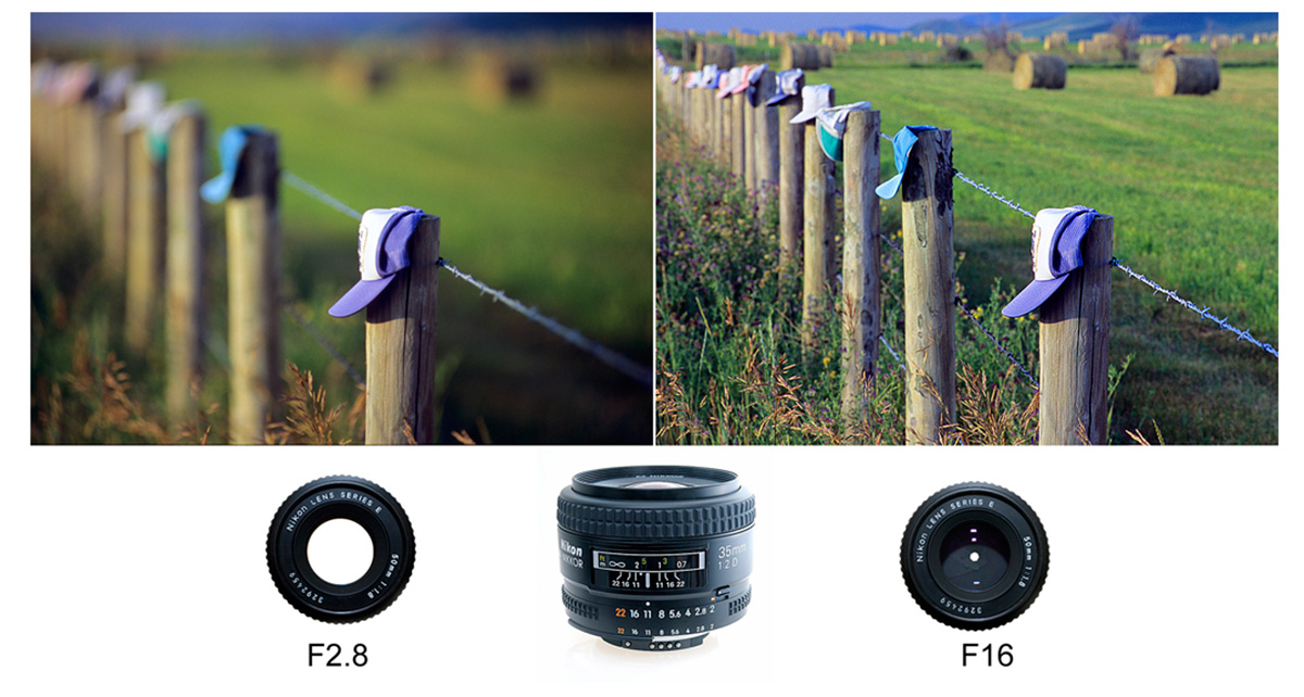 PHoto showing depth of field at F2.8 and f16 by Robert Berdan ©