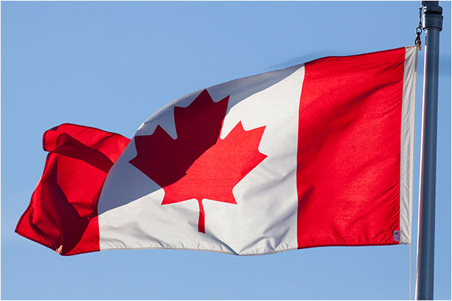 Maple leaf on the Canadian flag by Robert Berdan ©
