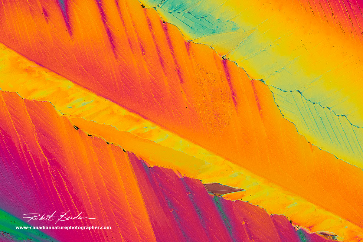 Citric acid crystals by DIC mic;roscopy Robert Berdan 200X ©