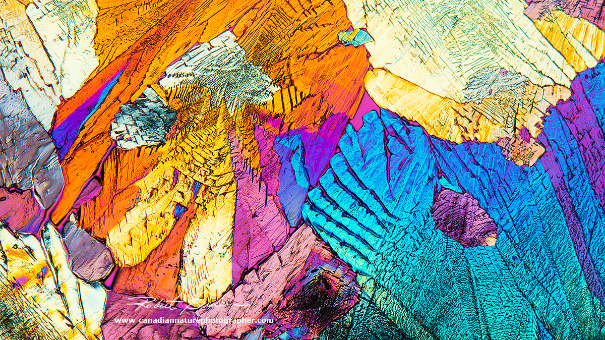 Mineral section by DIC microscopy 200X Robert Berdan ©