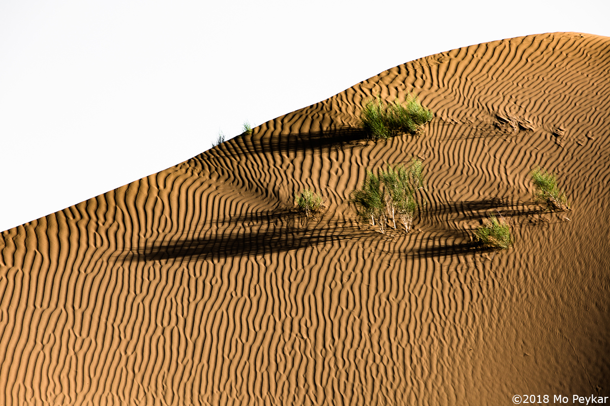 Sand dune in Desert by Mo Peykar ©