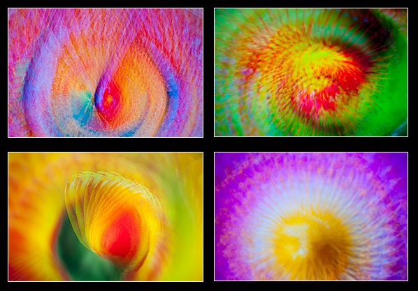 Multiple exposure twirl photographs by Robert Berdan ©