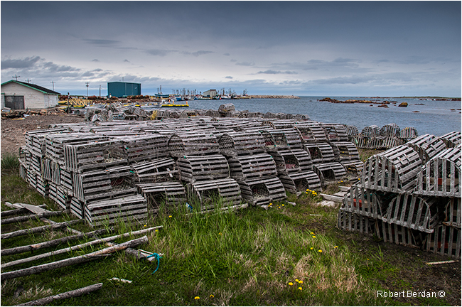 Lobster traps Musgrave Harbour Newfoundland by Robert Berdan ©