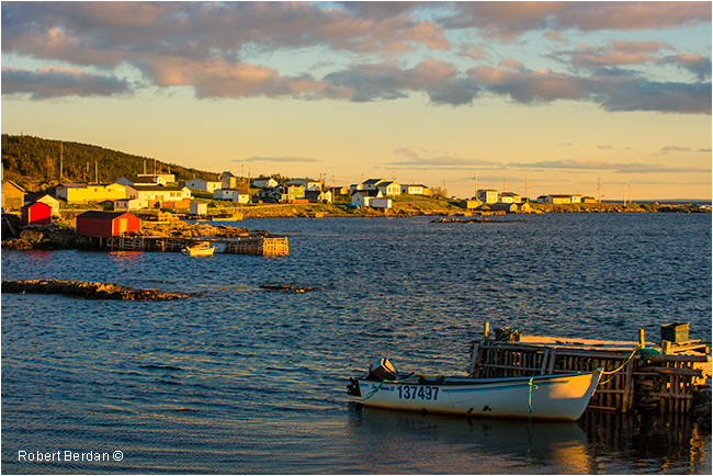 Island Harbour Fogo Island Newfoundland by Robert Berdan ©