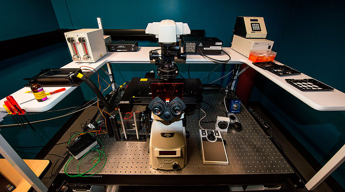 Nikon microscope set on an antivibration table Live Celll Imaging Resource University of Calgary by Robert Berdan 