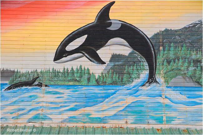Killer whale mural on Ways building in Ocean Falls by Robert Berdan © 
