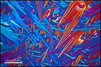 Caffeine crystals polarized light microscopy 200X  by Robert Berdan