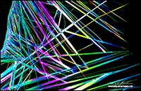 Caffeine crystals by polarized light microscopy 400X by Robert Berdan