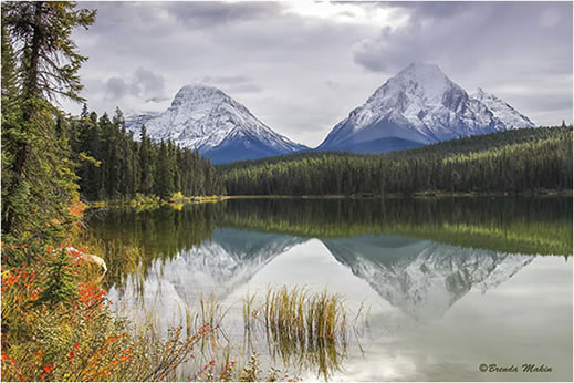 Whirlpool peak Mt. Fryatt in Jasper National Park Brenda Makin &copy;