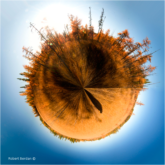 Boreal Bog planetary panorama by Robert Berdan ©