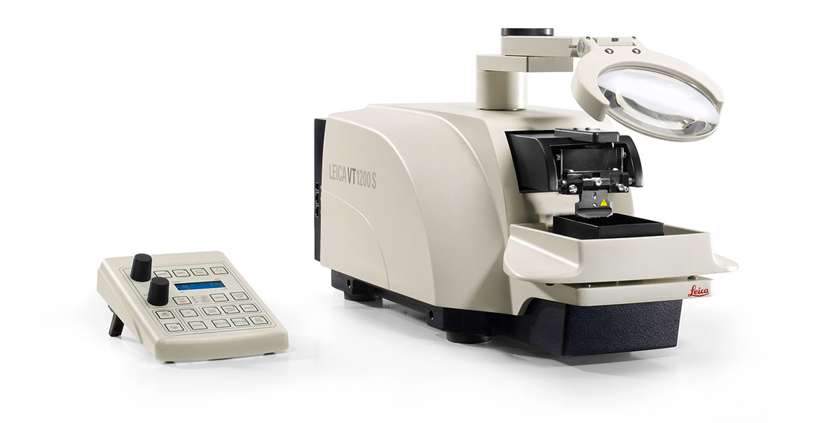 Vibratome Leica