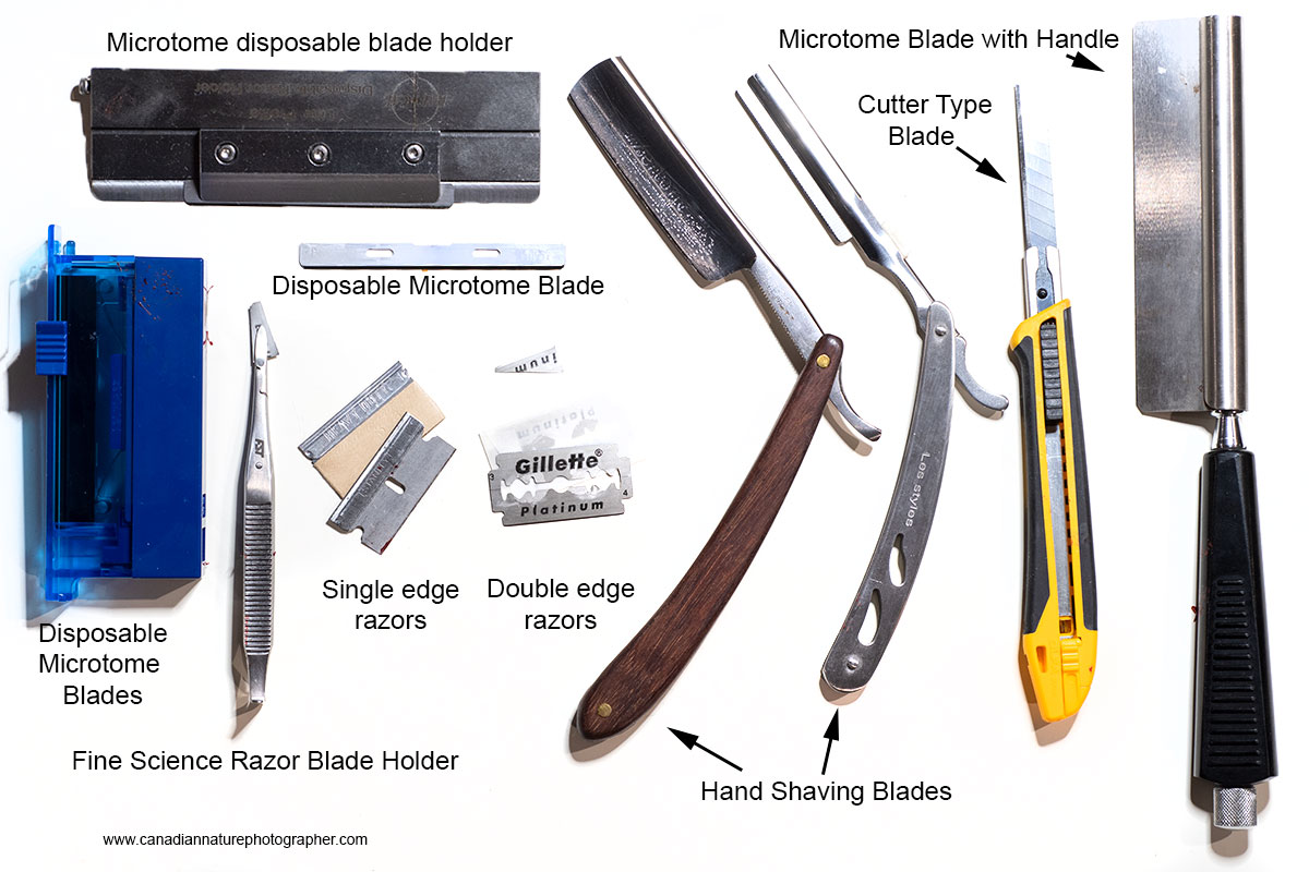 The Microscopic Beauty of Plants and Trees by Robert Berdan The