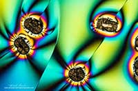 Vitamin C crystals by polarized light microscopy by Robert Berdan ©