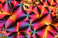 Vitamin C crystals by polarized light microscopy by Robert Berdan ©