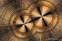 Vitamin C crystals by polarized light microscopy by Robert Berdan ©