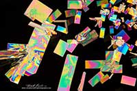Crystals from a sports drink by polarized light microscopy Robert Berdan ©