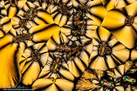 Vitamin C crystals by polarized light microscopy by Robert Berdan ©