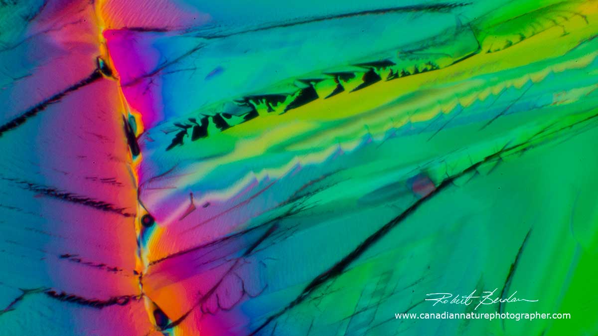 Citric acid crystals by Polarized light microscopy 100X  by Robert Berdan ©