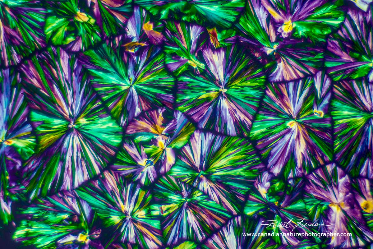 Citric Acid Crystals by polarized light microscopy - Abstract by Robert Berdan ©