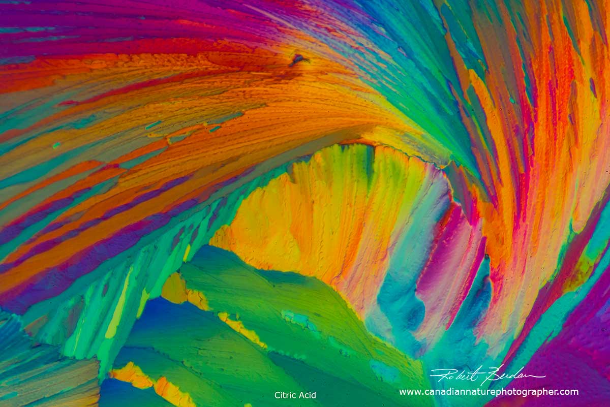 Citric acid crystals in polarized light - abstract by Robert Berdan ©