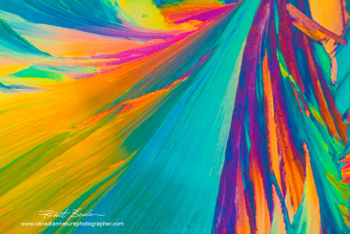 Citric acid crystals by Polarized light microscopy - Abstract by Robert Berdan ©