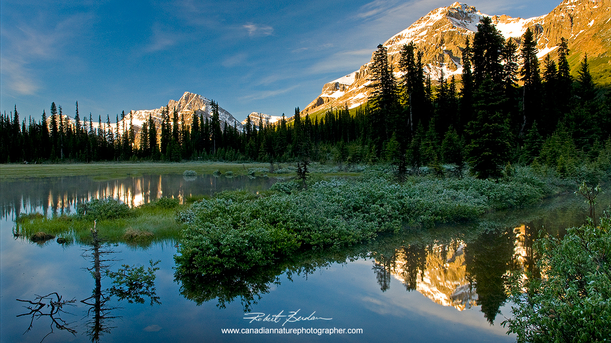 Mountain pond near Bow Lake, Alberta by Robert Berdan ©